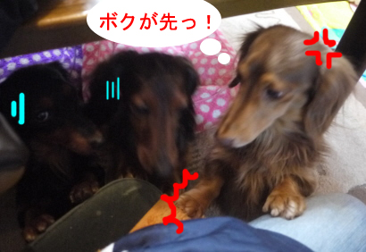 ぼくのだピーbのコピー.jpg