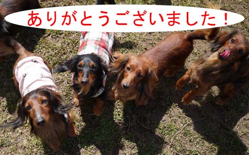 みんな1のコピー.jpg