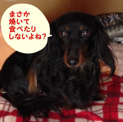 うたこ.JPG