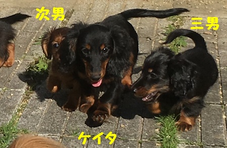 おとこぐみ１.JPG