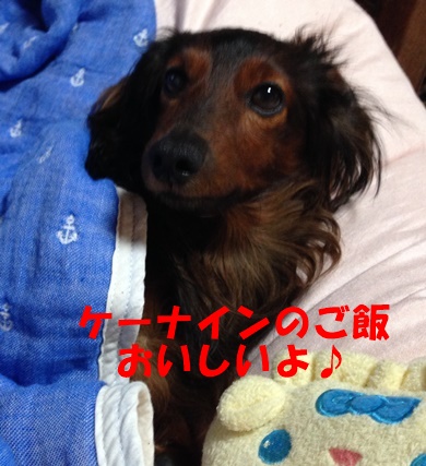 おもちゃとエイト.JPG