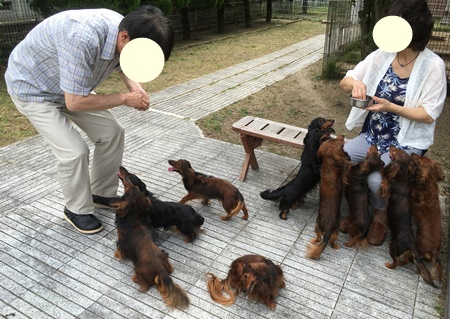 じなんＴ.JPG