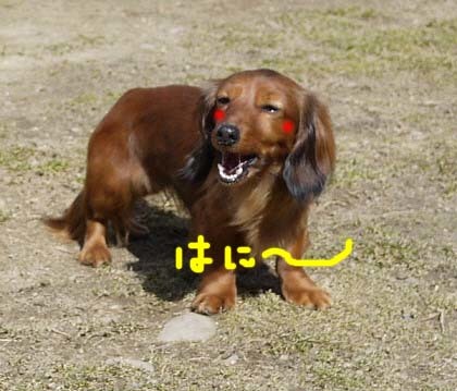 にー.jpg