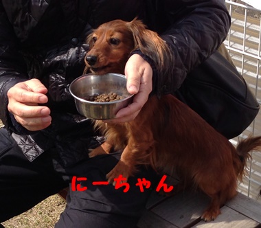にーちゃん.JPG