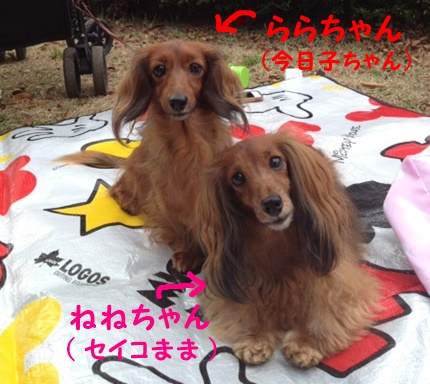 ねねらら１.JPG