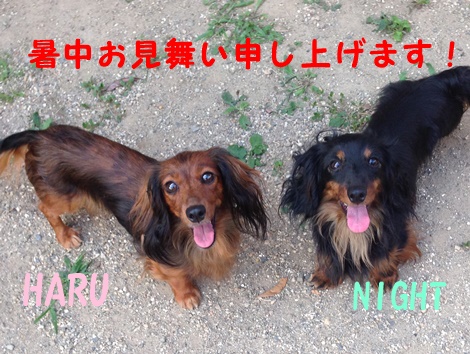 はるないと.JPG