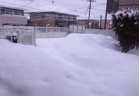 また雪.JPG