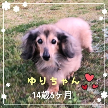 ゆりちゃん１.JPG