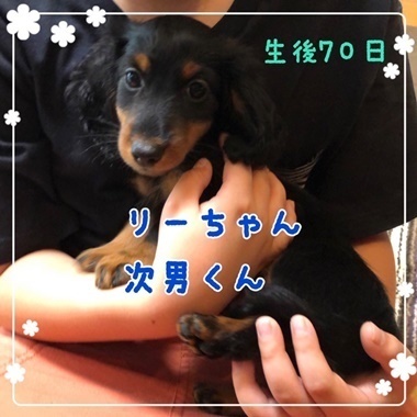 りーじなん.JPG