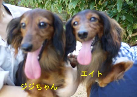エイトとジジちゃんのコピー.jpg