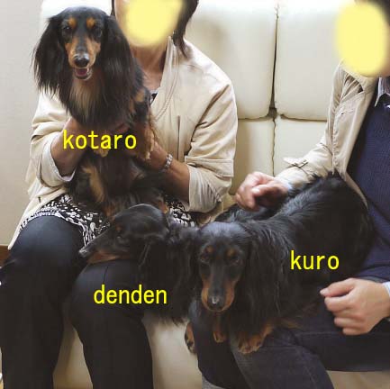 コタロとくろでんのコピー.jpg