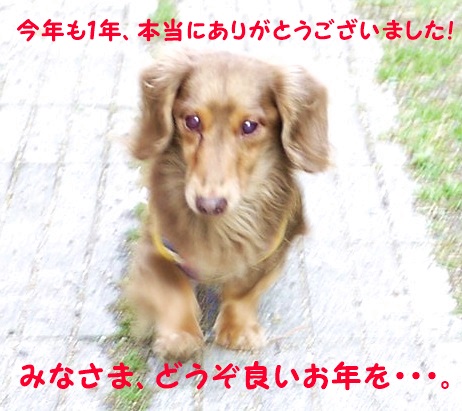 トコトコぴー.JPG