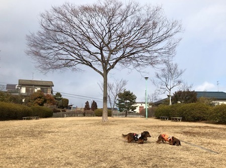ハルエイト公園B.JPG