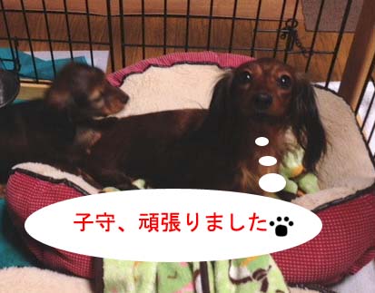 ハル5のコピー.jpg