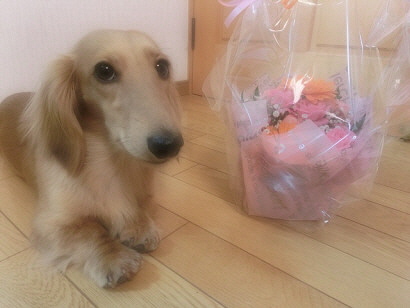ハンナ1.jpg