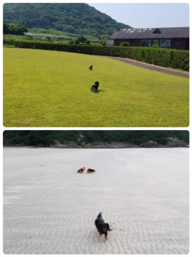 ランドと浜.JPG
