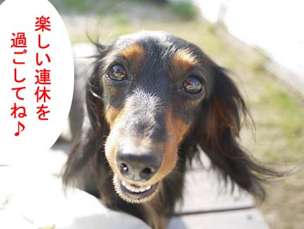 ランランあっぷのコピー.jpg